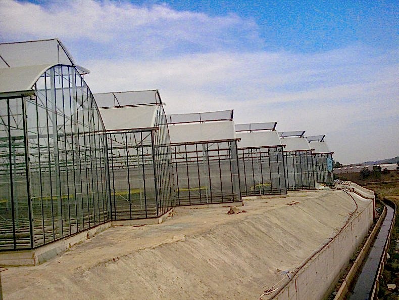 Seracılık Nedir Nasıl Olmalıdır.